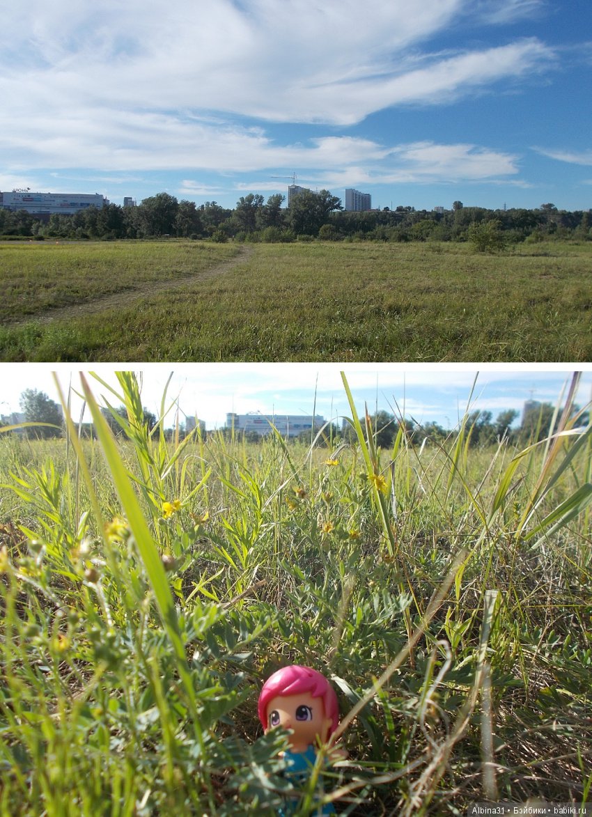 В погоню за сусликом — Болталка и разговоры обо всем: жизнь