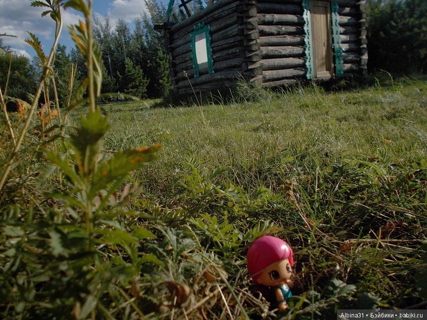 В погоню за сусликом — Болталка и разговоры обо всем: жизнь