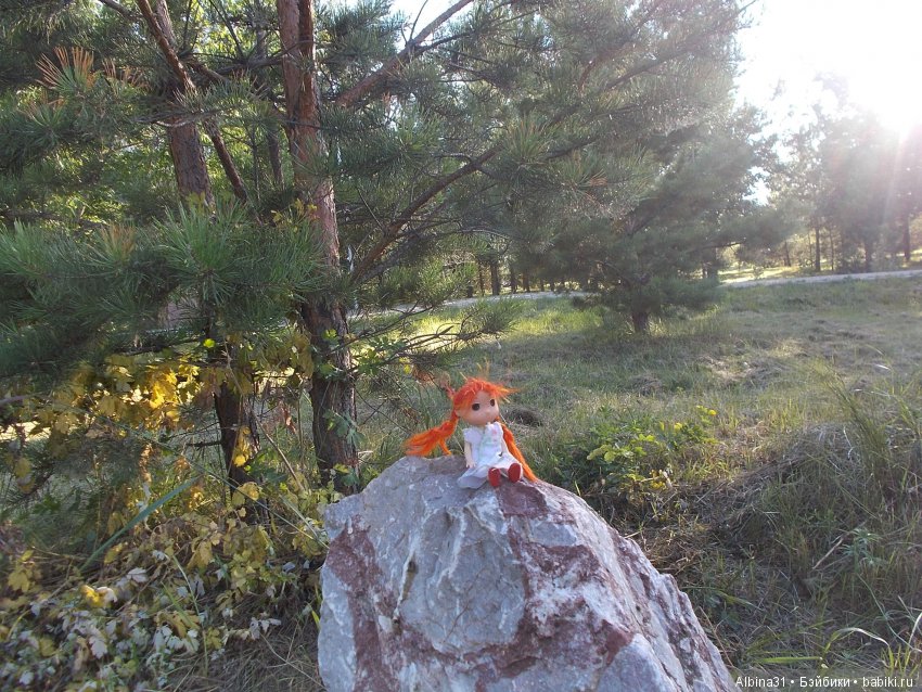 В погоню за сусликом — Болталка и разговоры обо всем: жизнь