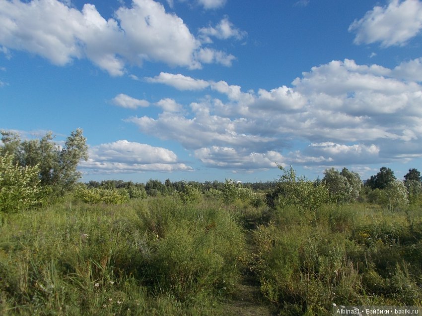 В погоню за сусликом — Болталка и разговоры обо всем: жизнь