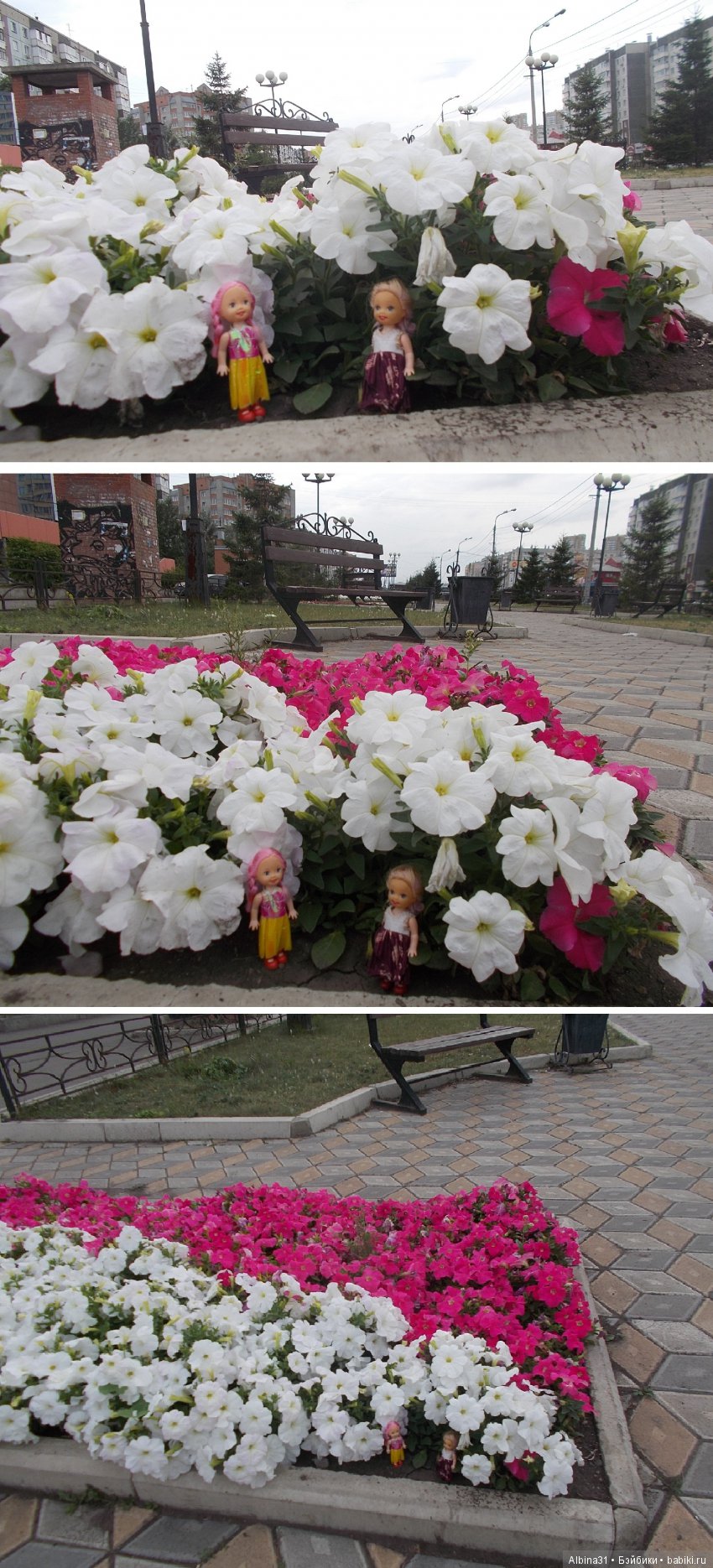 Городские зарисовки. Цветы и голуби (фото 8)