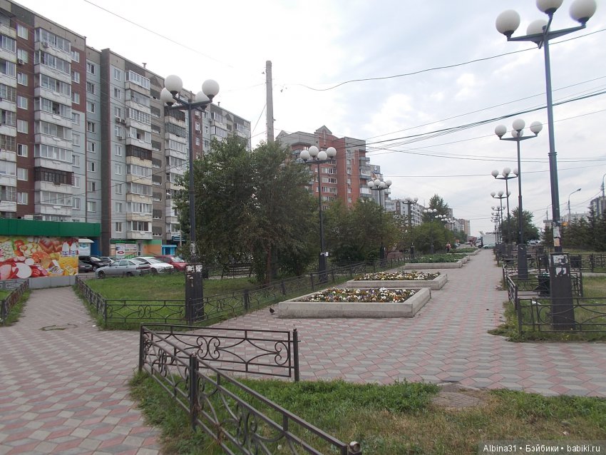 Городские зарисовки. Цветы и голуби (фото 3)