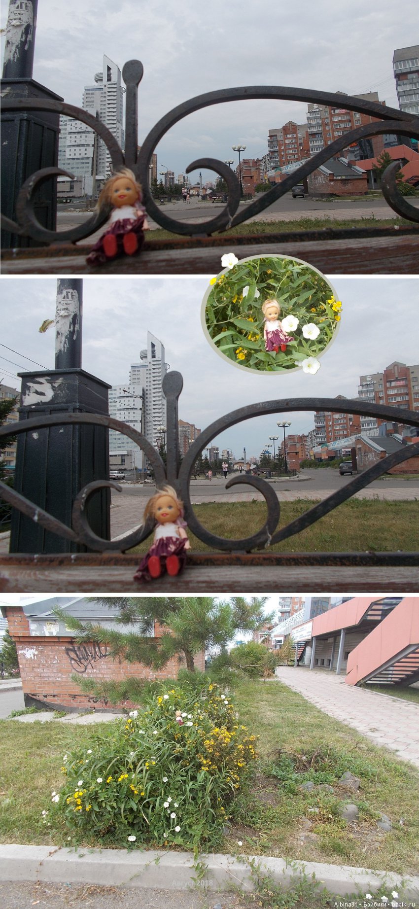 Городские зарисовки. Цветы и голуби