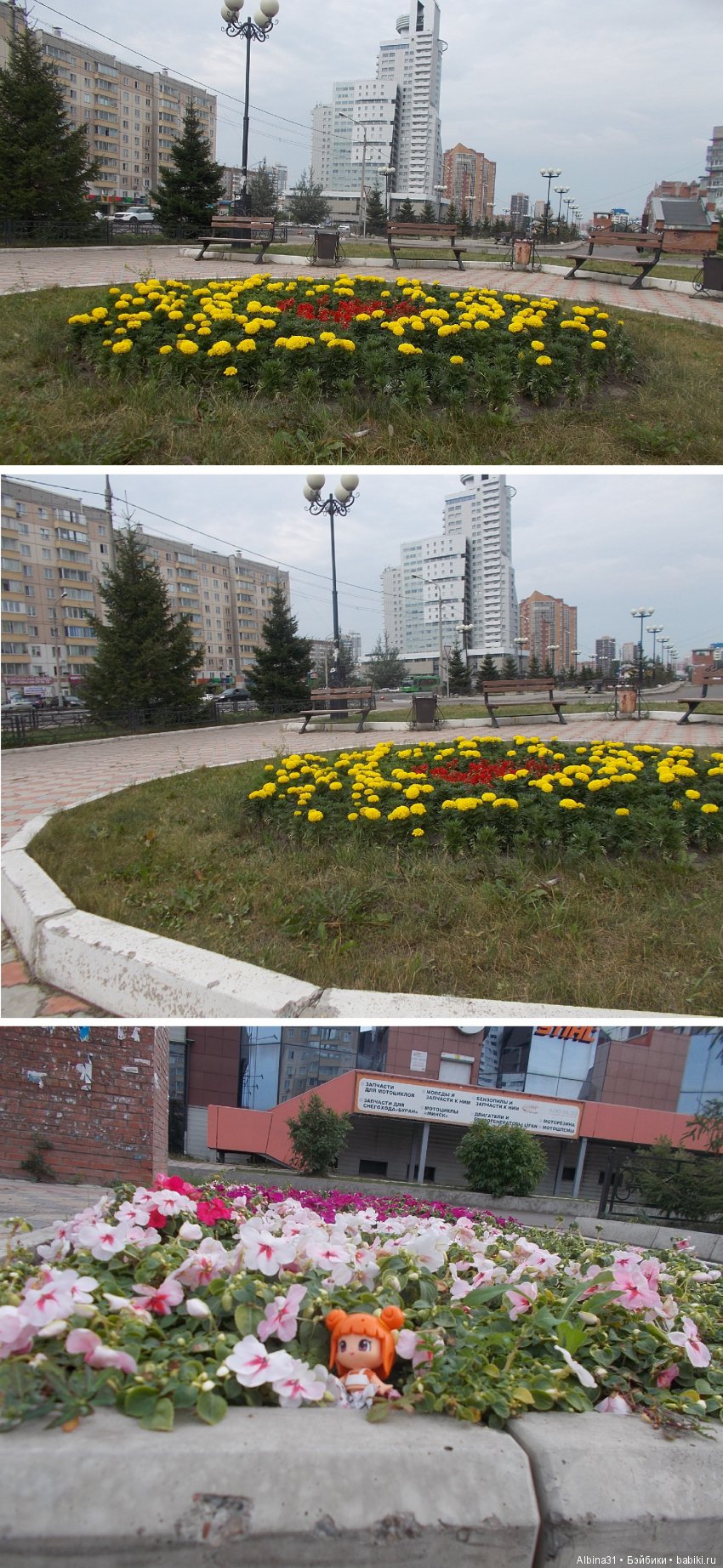 Городские зарисовки. Цветы и голуби