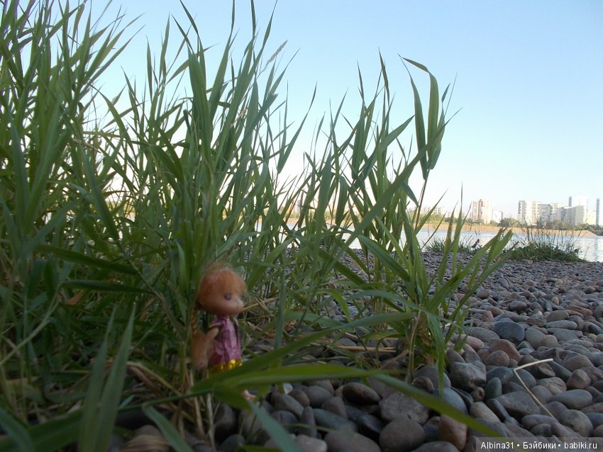 Остров Татышева. Продолжение (фото 8)