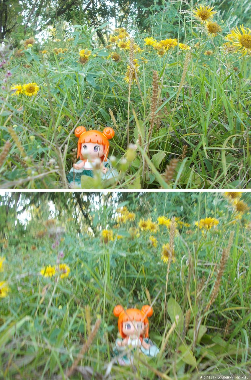 Остров Татышева. Продолжение