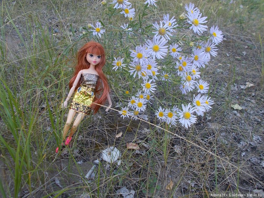 Остров Татышева. Продолжение