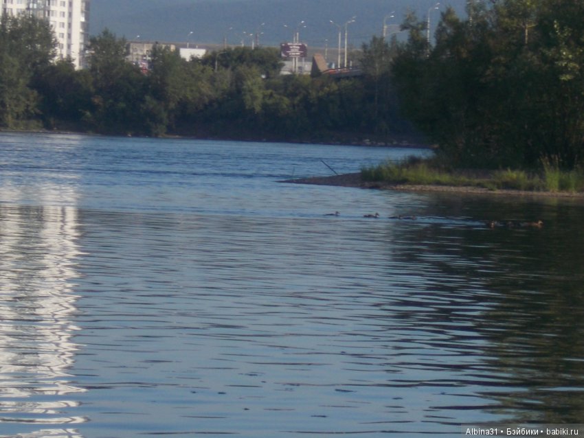 Остров Татышева. Продолжение (фото 6)