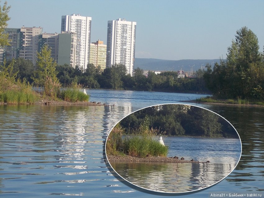 Остров Татышева. Продолжение (фото 4)