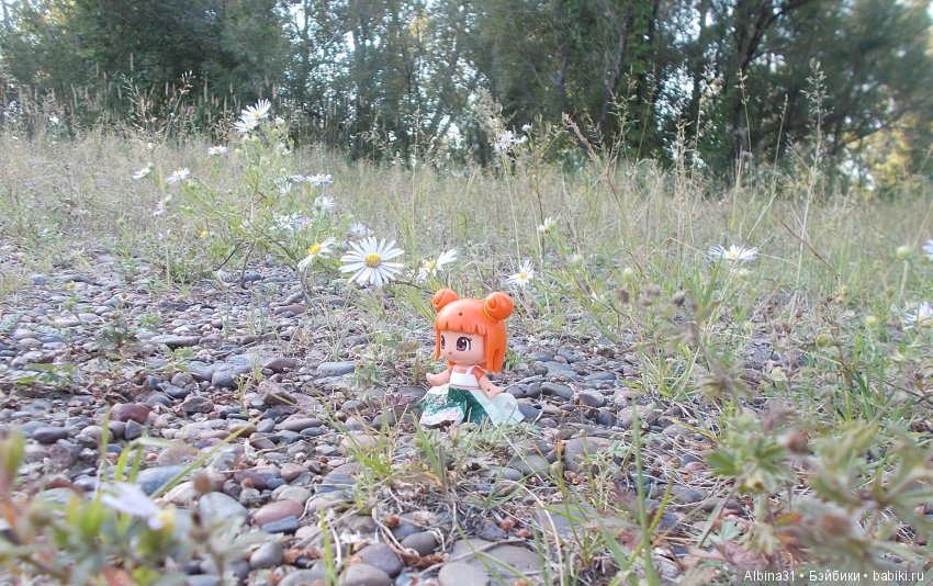 Остров Татышева. Продолжение