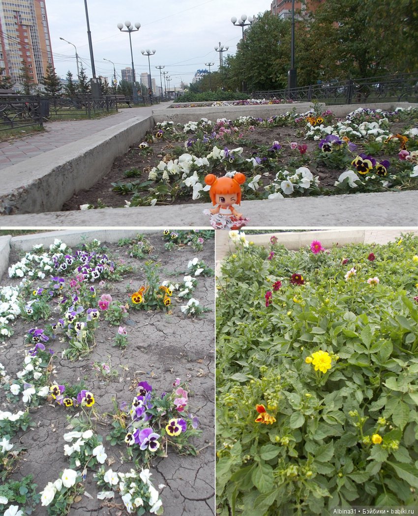 Городские зарисовки. Цветы и голуби