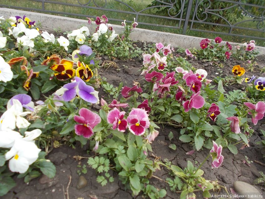 Городские зарисовки... Август 2018