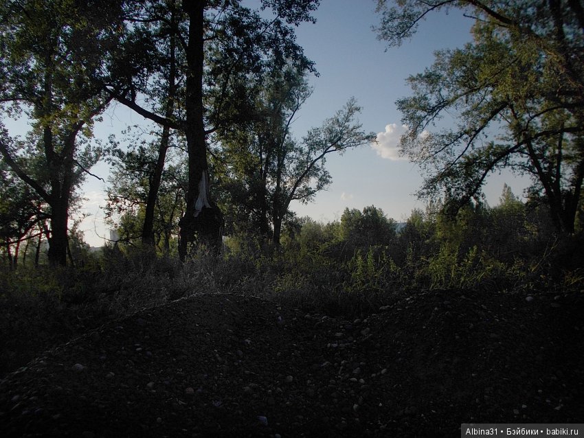 Остров Татышева. Продолжение