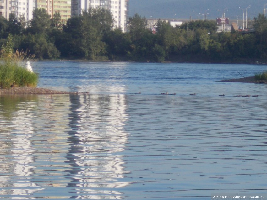 Остров Татышева. Продолжение (фото 5)