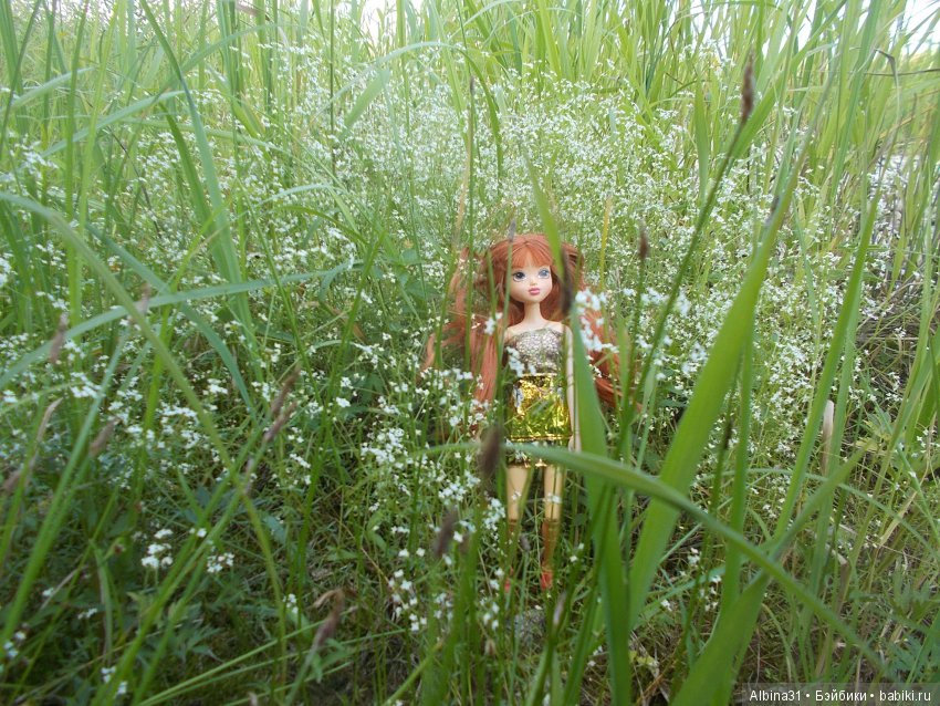 Остров Татышева. Продолжение (фото 10)