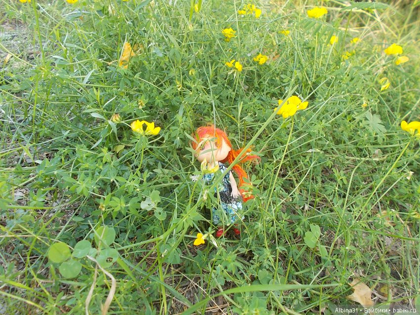 Остров Татышева. Продолжение