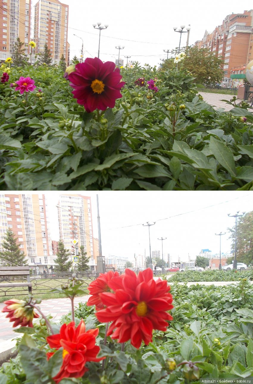 Городские зарисовки... Август 2018 (фото 2)