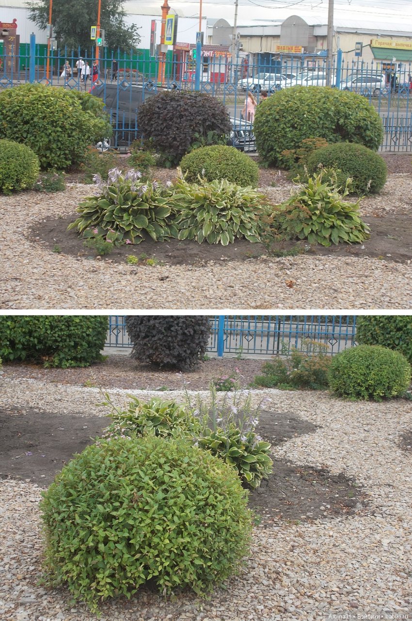 Городские зарисовки... август 2018