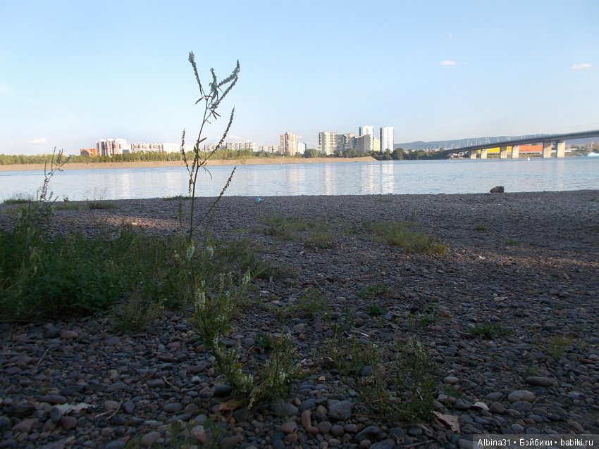 Остров Татышева. Продолжение (фото 7)