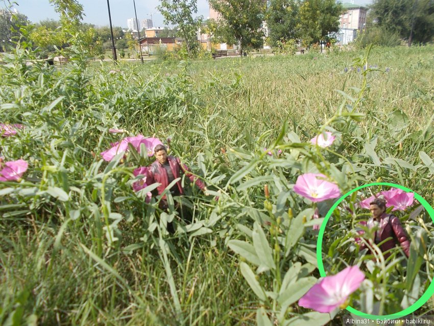 Звездный лорд — Коллекционные экшн