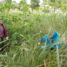 Звездный лорд