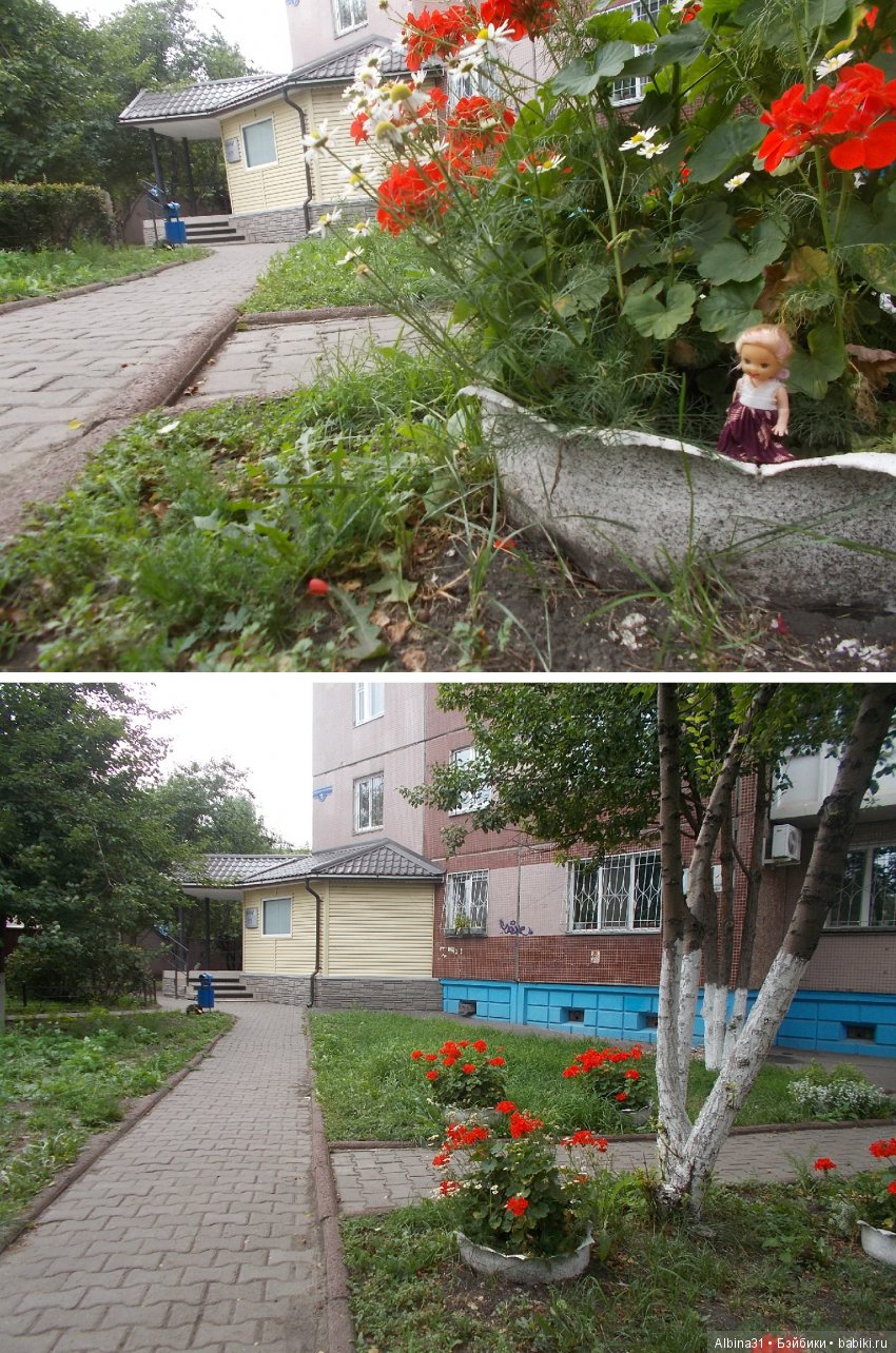 Городские зарисовки... Август 2018 (фото 8)