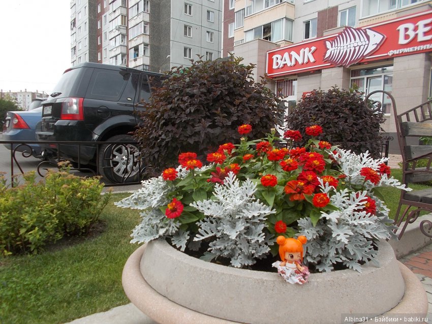 Городские зарисовки... Август 2018