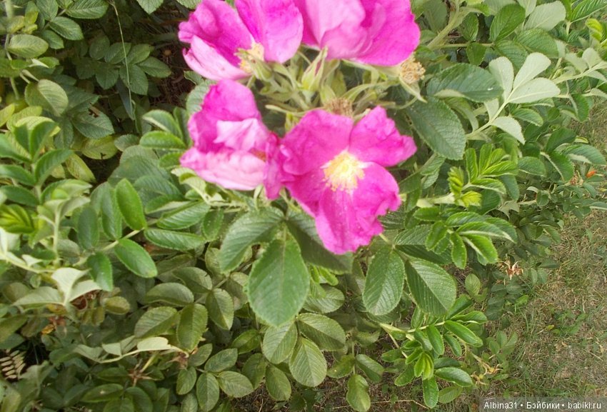 Городские зарисовки... Август 2018