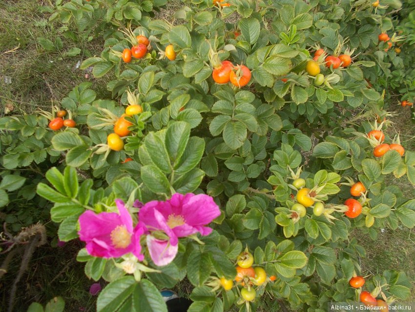 Городские зарисовки... Август 2018