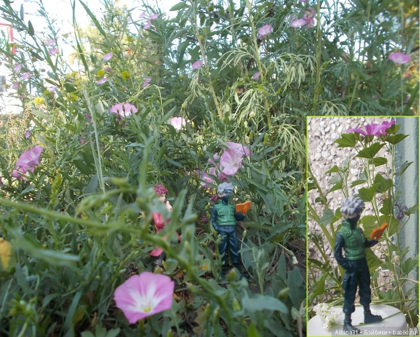 Наруто — Болталка и разговоры обо всем: жизнь (фото 3)