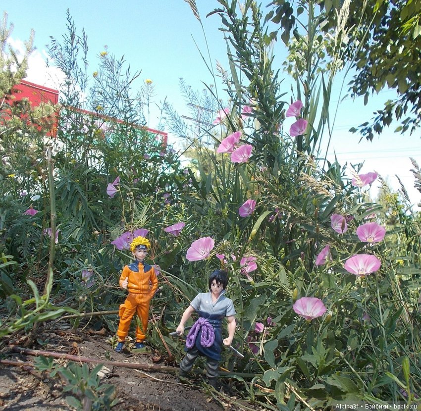 Наруто — Болталка и разговоры обо всем: жизнь (фото 2)
