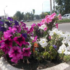 Городские зарисовки 2018 , августовские