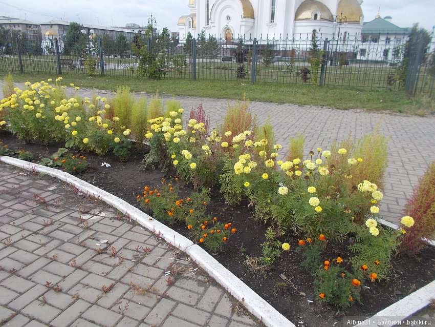 Городские зарисовки 2018. Сентябрь