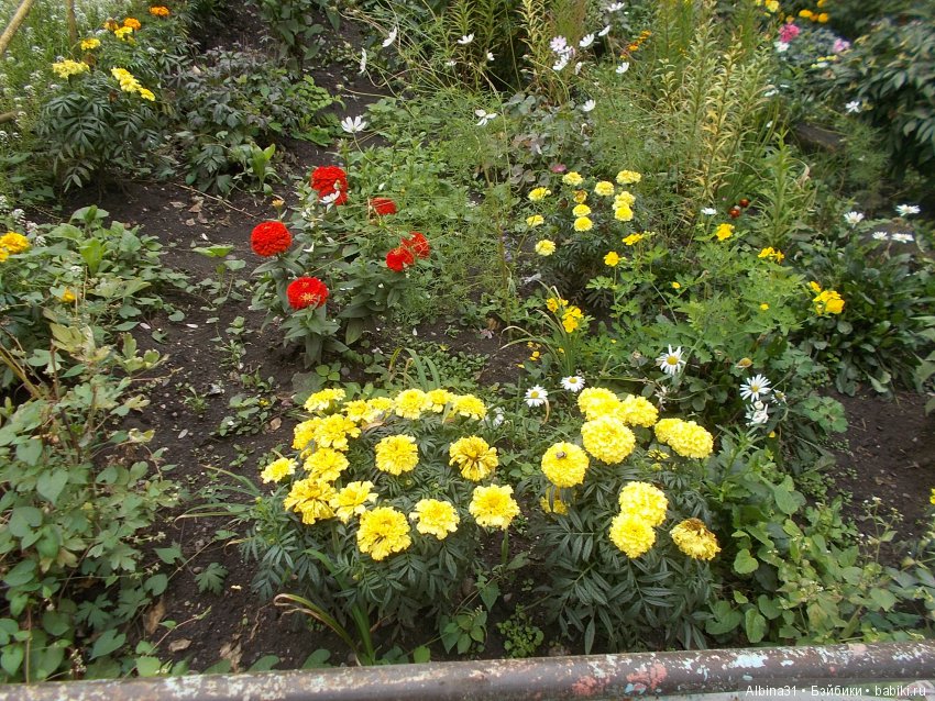 Городские зарисовки 2018. Сентябрь