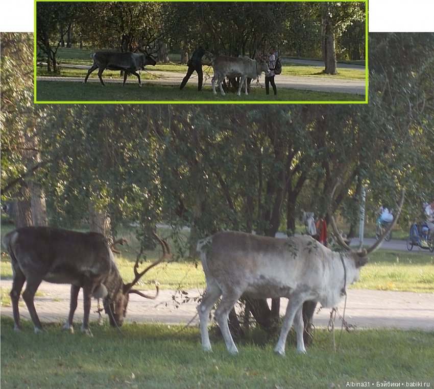 Городские зарисовки 2018. Сентябрь (фото 4)