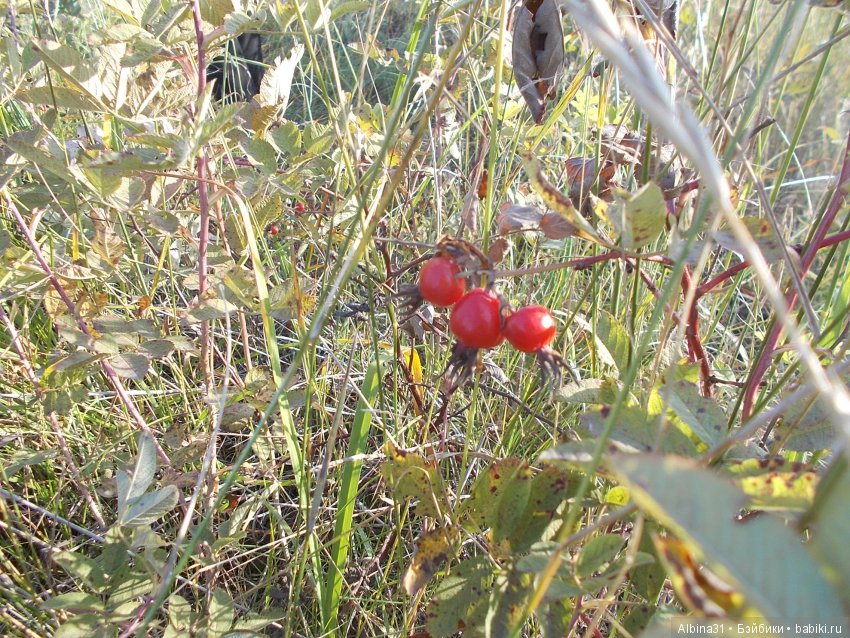 Городские зарисовки 2018. Сентябрь (фото 5)