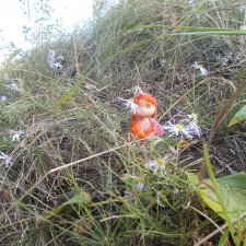 Городские зарисовки 2018. Сентябрь