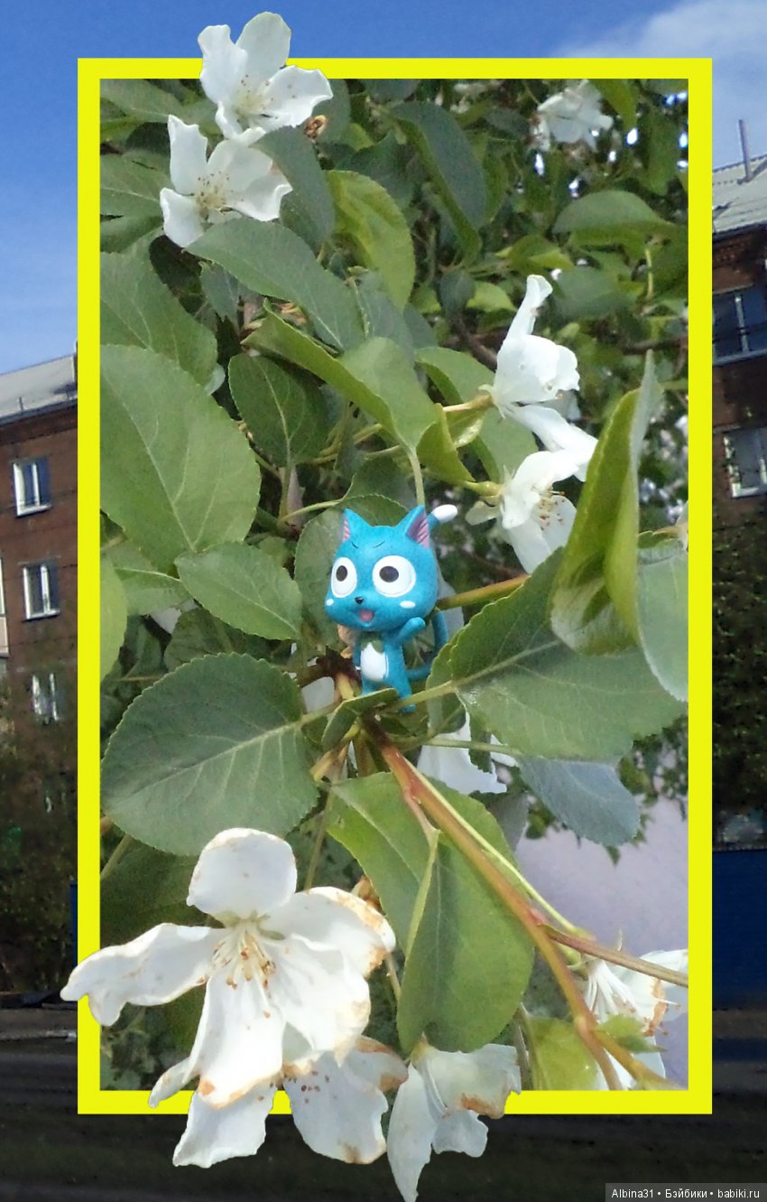 Хвост Феи — Коллекционные куклы разных авторов (Разное): редкие бренды (фото 4)