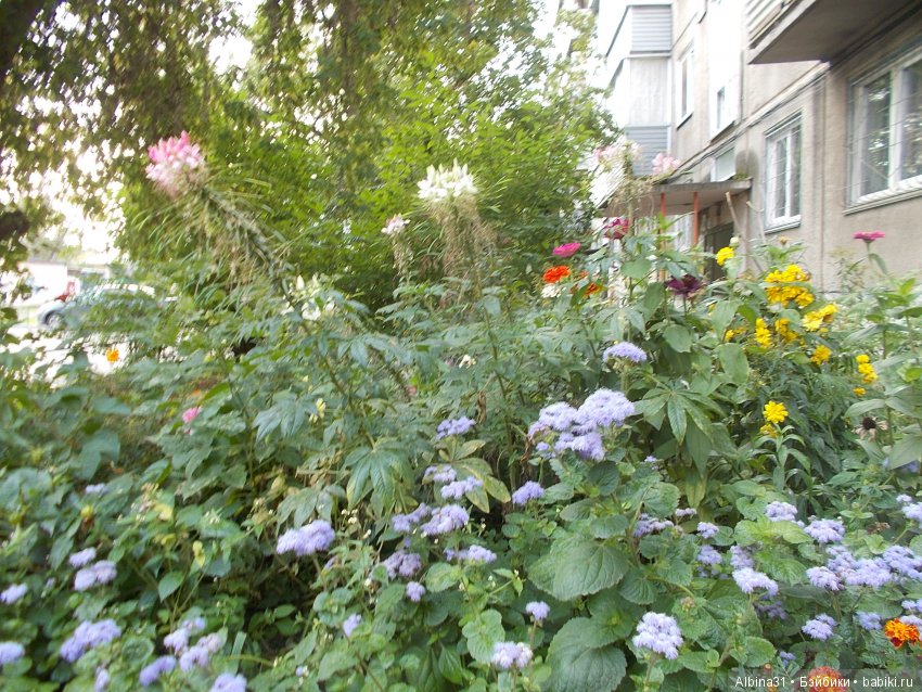 Городские зарисовки 2018. Сентябрь