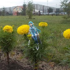 "Мастер меча"  Ундина