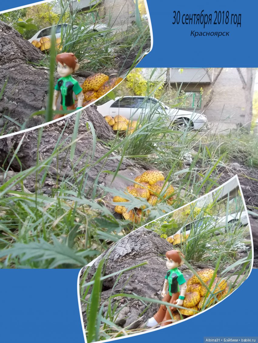 Путевые "зарисовки" — Болталка и разговоры обо всем: жизнь