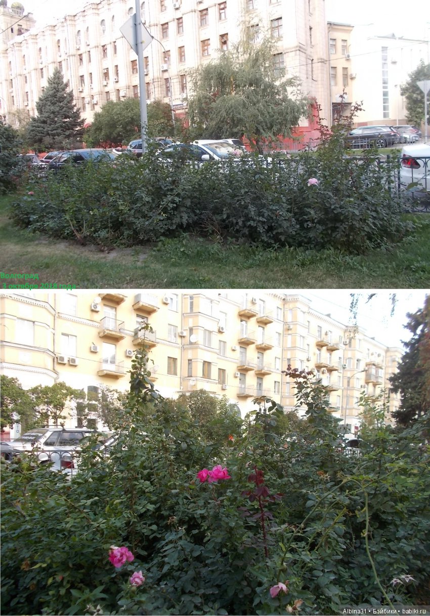 Путевые зарисовки. Прогулка по Волгограду