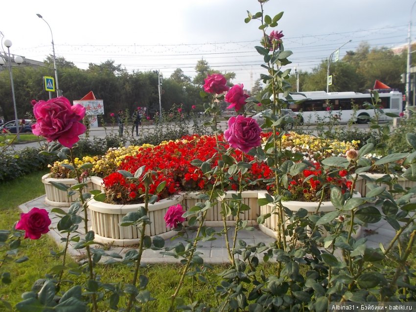 Путевые зарисовки. Прогулка по Волгограду