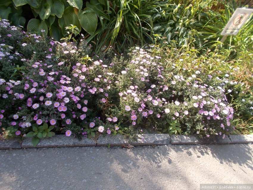 Прогулка по Волгограду, часть вторая