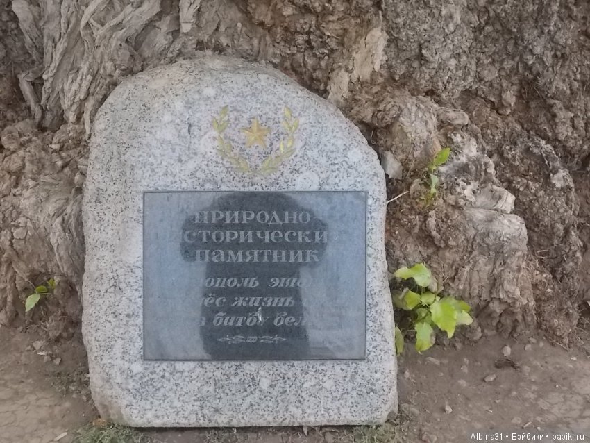 Прогулка по Волгограду, часть четвёртая, заключительная