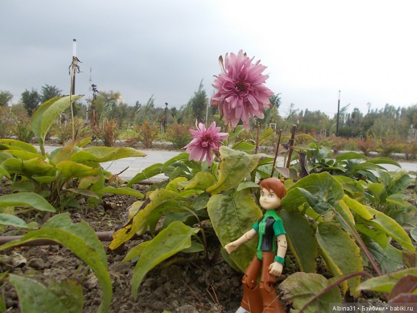 Прогулка по Волгограду, часть третья