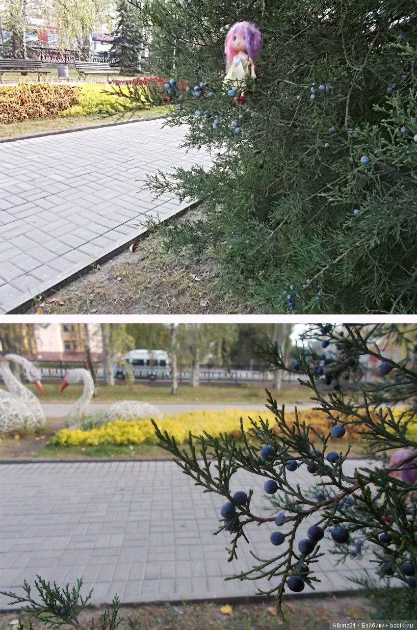 Прогулка по Волгограду, часть четвёртая, заключительная