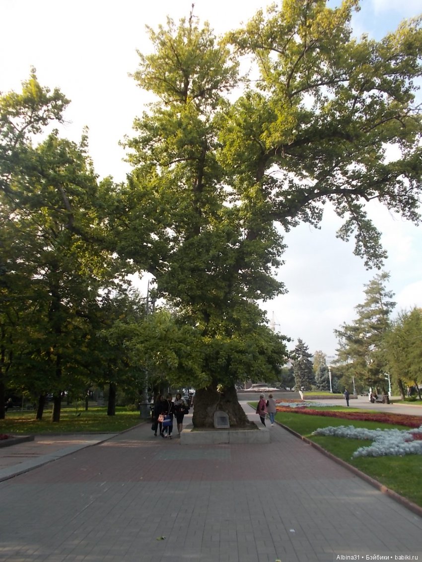 Прогулка по Волгограду, часть четвёртая, заключительная