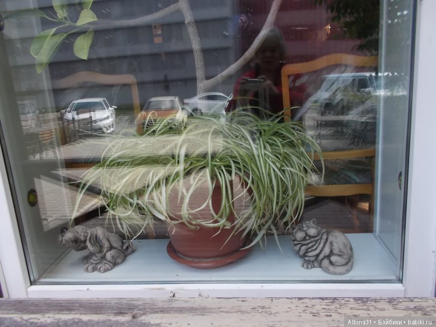 Прогулка по Волгограду, часть третья