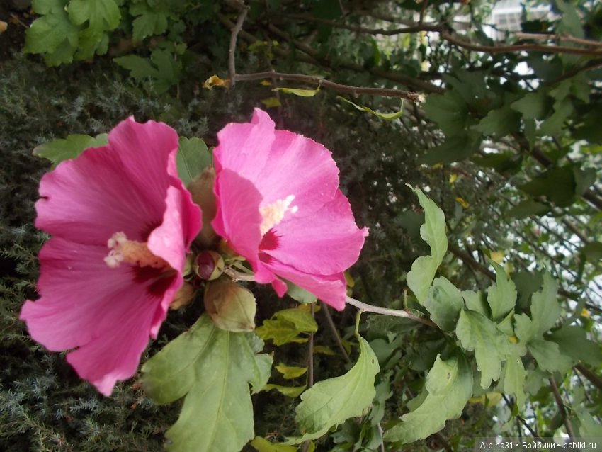 Путевые зарисовки. Краснодар